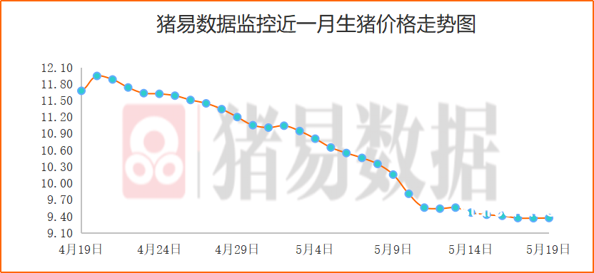 什么桥都敢堵啊你们？？——城市交通拥堵现象深度剖析与应对策略